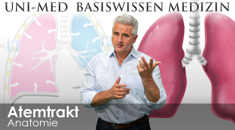 UNI-MED Basiswissen Atemtrakt Medizin Videokursen