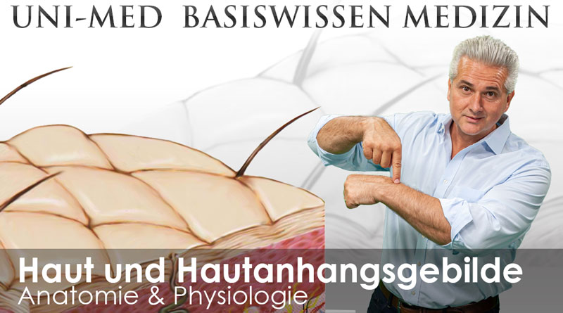 UNI-MED Basiswissen Haut & Hautanhang Medizin Videokursen