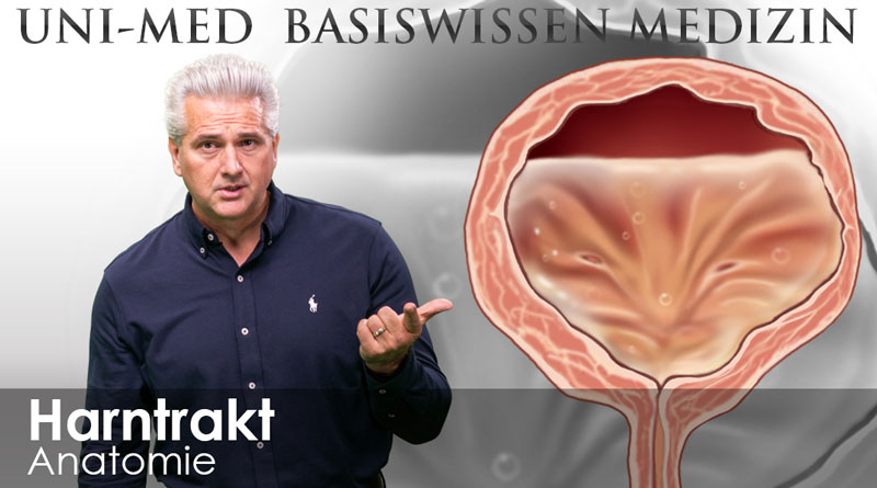 UNI-MED Basiswissen Harntrakt Medizin Videokursen