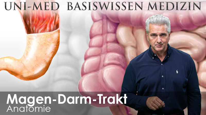 UNI-MED Basiswissen Magen-Darm-Trakt Medizin Videokursen